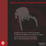 Protégez vous des Contaminants Organiques (1).png
